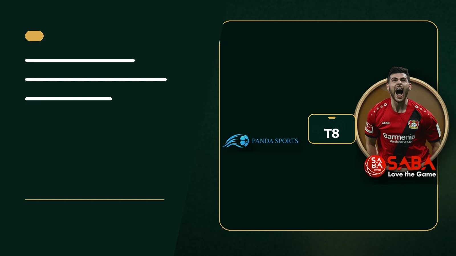ฟุตบอล T8 BET – บรรยากาศสนาม และ การแข่งขันสำคัญ